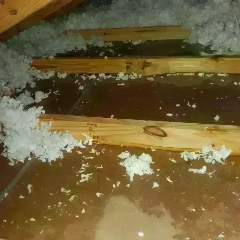 Attic Water Damage in Smithfield, NC